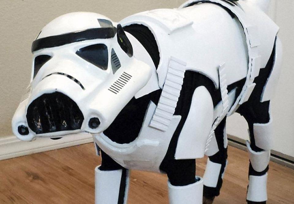 star wars stormtrooper dog costume